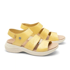 CODA Muse
